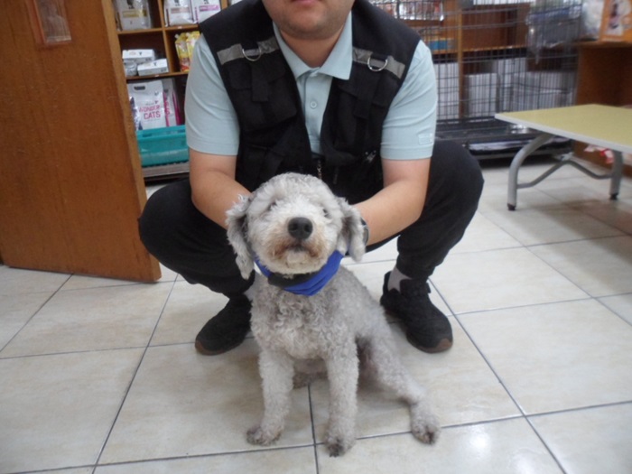 강현림동물병원_411314202400627